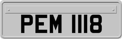 PEM1118