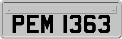 PEM1363