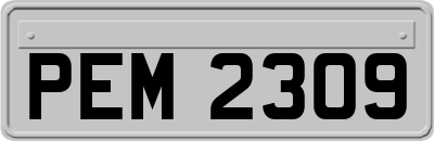 PEM2309