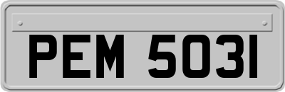 PEM5031