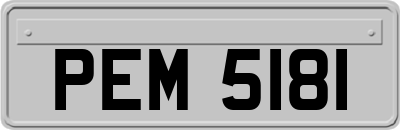 PEM5181