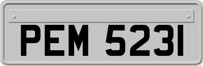PEM5231