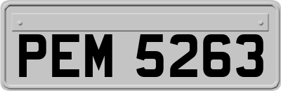 PEM5263