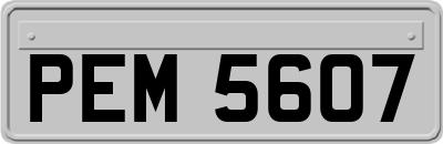 PEM5607