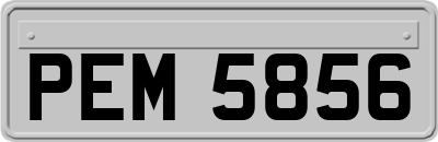 PEM5856