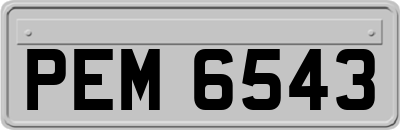 PEM6543