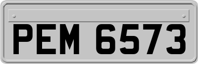 PEM6573