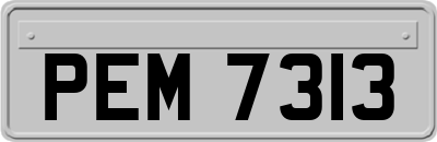 PEM7313