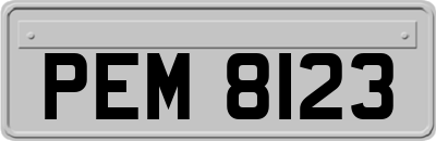 PEM8123