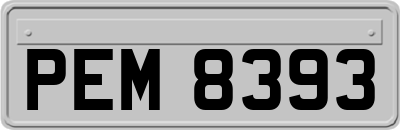 PEM8393
