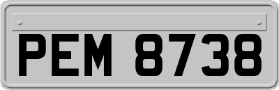 PEM8738
