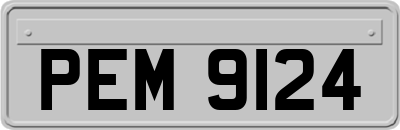 PEM9124