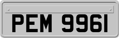 PEM9961