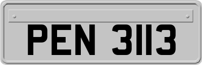 PEN3113