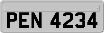 PEN4234