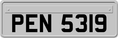 PEN5319