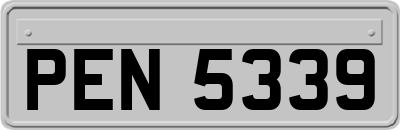 PEN5339