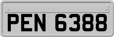 PEN6388