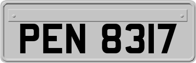 PEN8317