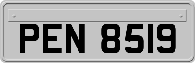 PEN8519