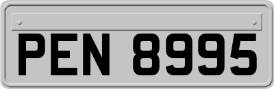 PEN8995