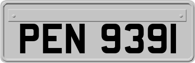 PEN9391