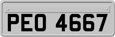 PEO4667