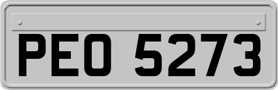 PEO5273
