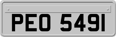 PEO5491