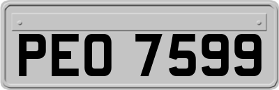 PEO7599