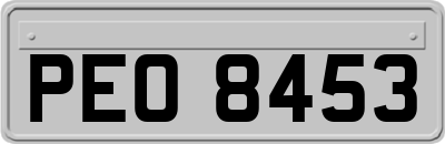 PEO8453
