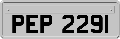 PEP2291