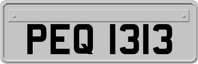 PEQ1313