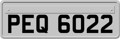 PEQ6022