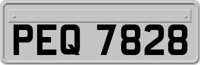 PEQ7828