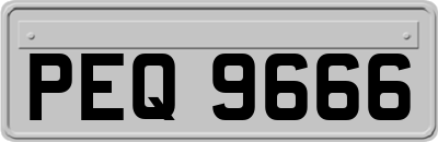 PEQ9666