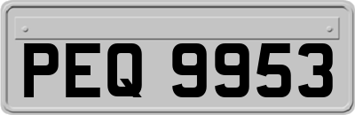PEQ9953