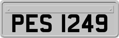 PES1249