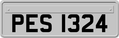 PES1324