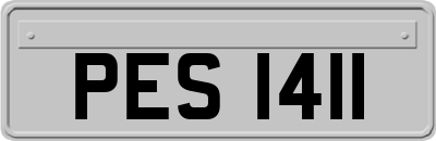 PES1411