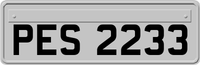PES2233