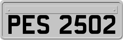 PES2502