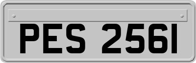 PES2561