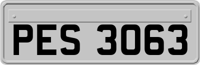 PES3063