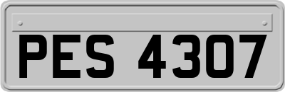 PES4307
