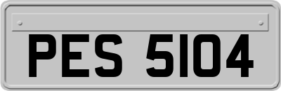 PES5104