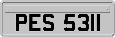 PES5311