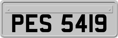 PES5419