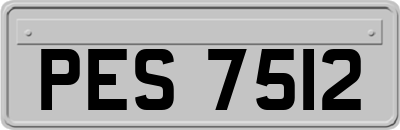 PES7512