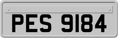 PES9184